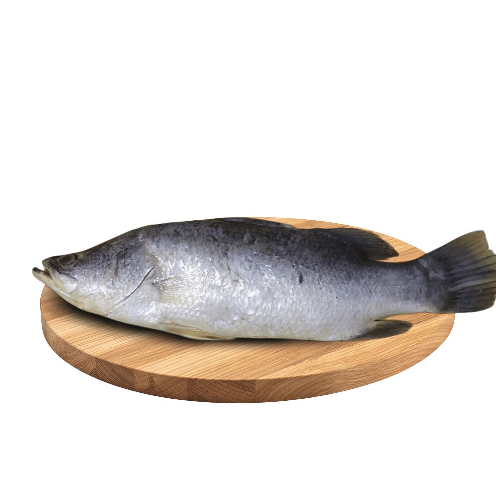 Bhetki Fish (1kg-1.5kg) - Cleaned & Cut 1