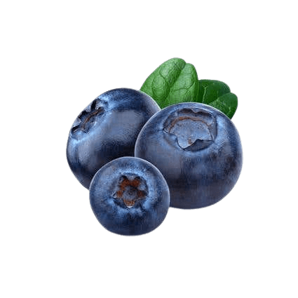 Blueberries Imported 1